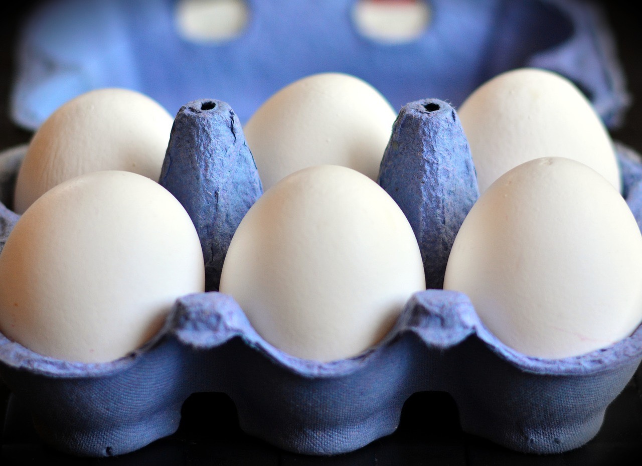 The Importance Of Food Packaging Companies