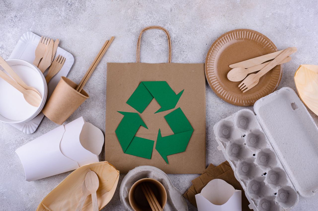 The Battle: Single-Use vs. Reusable Packaging